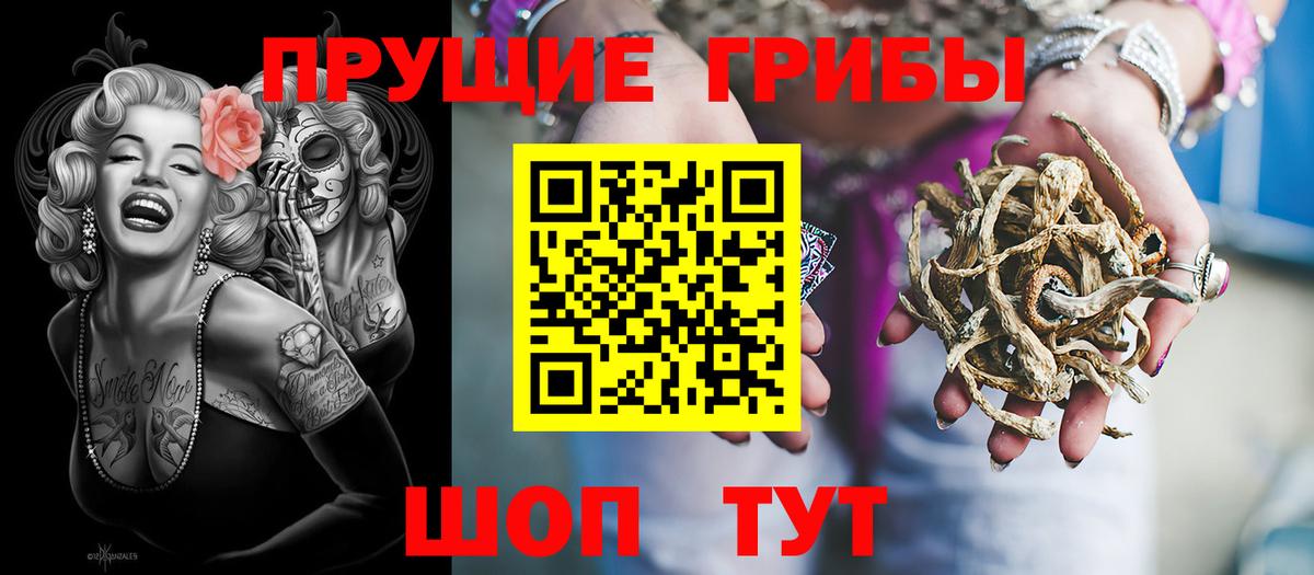 Галлюциногенные грибы GOLDEN TEACHER Торжок